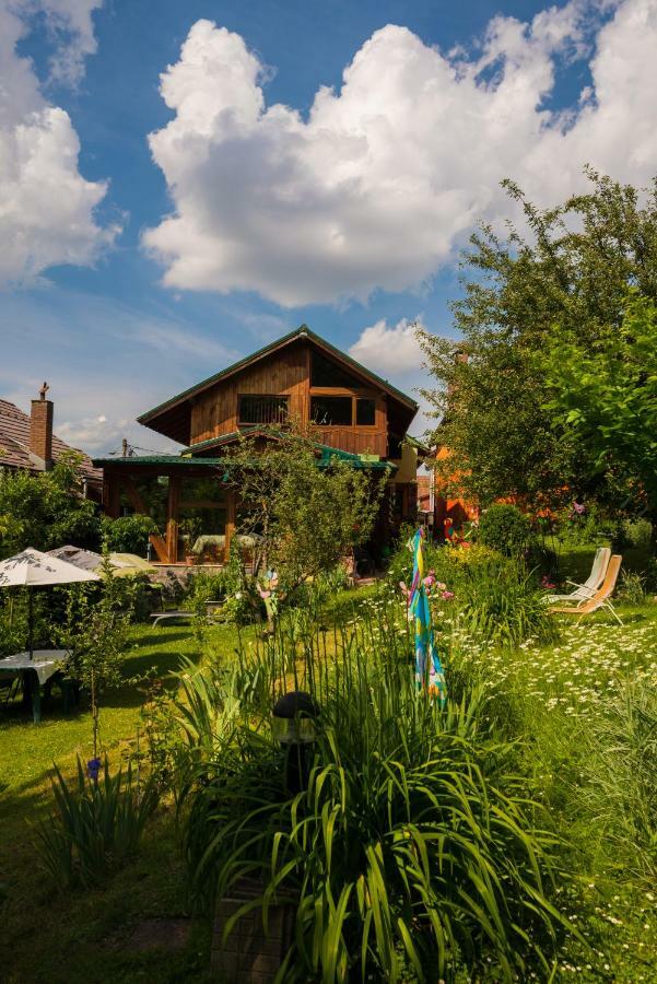 Casa Natalia Hotel Brasov Exterior photo